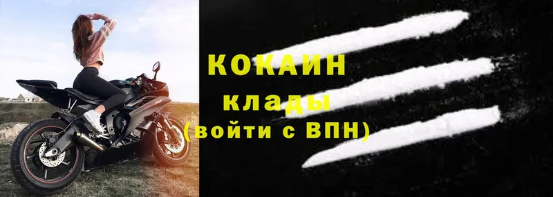 где купить наркотик  ОМГ ОМГ ONION  Cocaine Fish Scale  Задонск 